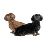 Quail Ceramics - Dachshund Salt And Pepper Pots