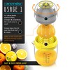 Arendo - Manual Juicer with 2 methods of use, 300