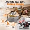 Elevated Cat Food Bowls with Mat Whisker Friendly, 15°Tilted Raised