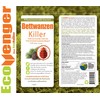 EcoRaider Bed Bug Killer Spray 1 Gallon Jug, Green +