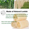 UCINNOVATE Natural loofah shower, Premium Loofahs, loofah Sponge, Shower Loofah,
