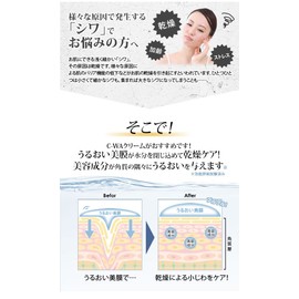 C-WA Cream 3.5 oz (100 g), Set of 12 [Wrinkle Cream, Eye Cream, Facial, Facial, Forehead, Eyes, Buttocks, Neck, Nasolabis, Sagging, Wrinkles, Fine Lines, Moisturizing, Beauty, Beautiful Skin, Hari Skin Care, Aging Care]