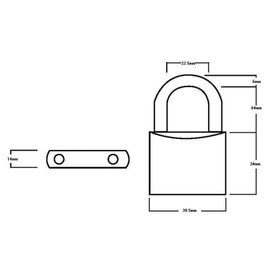 Henry Squire Lion Premium Solid Brass 4 pin Padlock, 24.5 mm (Length)