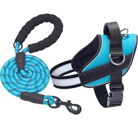 Haapaw Essential Dog Harness, No Pull Pet Vest with 3 Leash Clips, No Choke, Reflective, Adjustable and Padded, for Easy Walking and Training for Large Dogs(XL, Blue)
