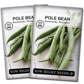 Sow Right Seeds - Kentucky Wonder Pole Bean Seeds for Planting - Non-GMO Heirloom Packet with Instructions to Plant a Home Vegetable Garden - Long Green Bean - Stringless Variety (2)