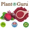 Red Beet Root Powder 5 lbs. Bulk Beta Vulgaris Nitric