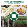 JOLLY CHEF 100% Compostable Paper Plates, 150 Pack 10 Inch