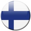 Finnland Flags Fridge Magnet Countries Travel Souvenir Flag Fridge Magnet