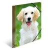 HERMA Collecting Folders A4 Dog Set, 3 Pieces, Children's Corner