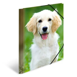 HERMA Collecting Folders A4 Dog Set, 3 Pieces, Children's Corner Folder Made of Plastic with Animal Motif, Elastic Band, Inner Flaps and Inner Print for Boys and Girls