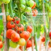 MEISHANG Tomato Hooks with Cord, Pack of 20 Tomato Hooks