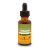 Herb Pharm Certified Organic Cinnamon Liquid Extract for Cardiovascular and