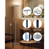 SIBRILLE Silver Floor Lamps for Living Room, Stepless Dimmable Standing