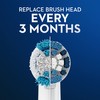 Oral-B Oral B Precision Clean Replacement Brush Head, 3 count