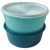 Tupperware Servalier Canister Stacking Cookie One Touch Seal Teal Mint
