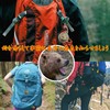 Lunari Bear Bell with Carabiner, Bear Bell, Trekking Bell, Mountain