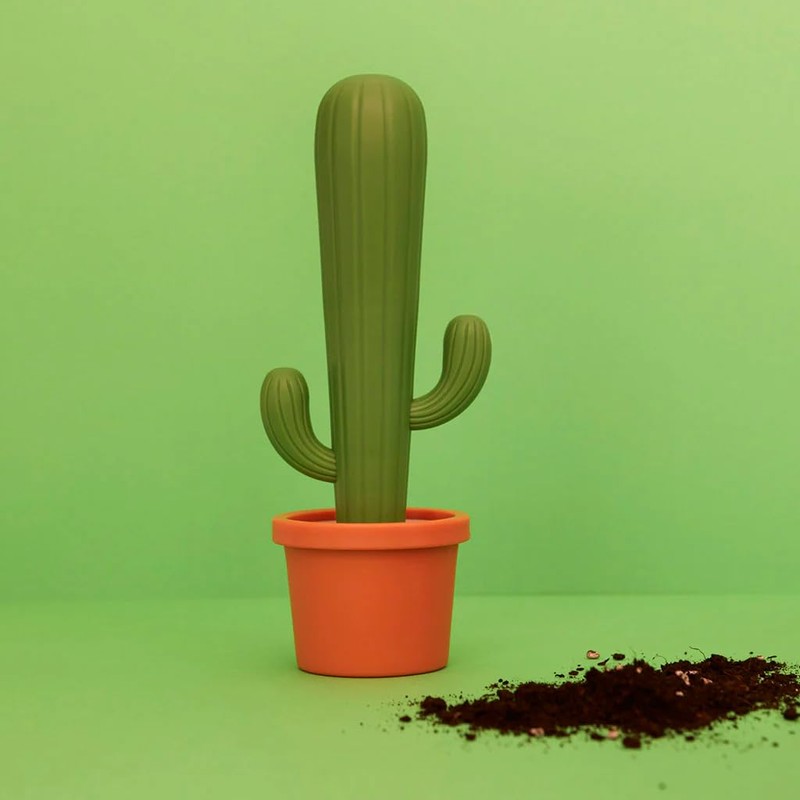Balvi Cactus Dishwasher Brush Green Cactus Shape and Holder in