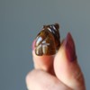 Satin Crystals Tigers Eye Lion 1" Miniature Animal Double
