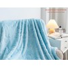 DuShow Flannel Fleece Throw Blanket Single Size,Soft Jacquard Fluffy Velvet