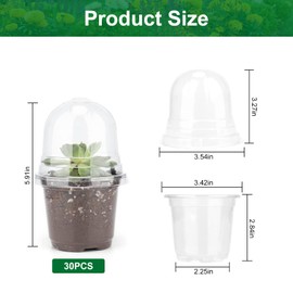 Zorpupoa 30 Packs Reinforced Clear Nursery Pots with Drainage Hole, 3.5 Inch Plant Pot Transparent Seedling Pots for Seed Starters Planter Flower (30 Pots + 30 Clear Lids)
