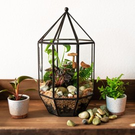 SuperMoss (90405) Glass Terrarium – Elegant Indoor Gardening Décor, Ideal Gifts for Plant Lovers, Modern Home & Office Decoration, 7.5” x 7.5” x 14”, Greenhouse