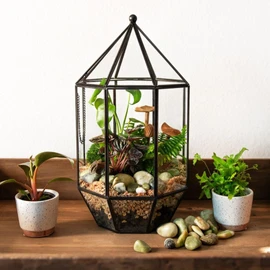SuperMoss (90405) Glass Terrarium – Elegant Indoor Gardening Décor, Ideal Gifts for Plant Lovers, Modern Home & Office Decoration, 7.5” x 7.5” x 14”, Greenhouse