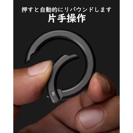 TISUR Round Carabiner Key Holder, Small, Stylish, Car Key Ring, Key Storage, Aluminum Black Round Carabiner + 1 Stainless Steel D-Ring