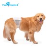 Paw Inspired Male Dog Wraps, Disposable Dog Diapers | Belly