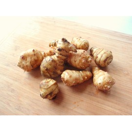 3 tubers Jerusalem Artichoke-Organic Individual Tubers For Planting Sunroot Sunchoke