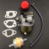 HUAYI 165SA Carburetor Carb Compatible with Troy Bilt Storm 2665
