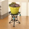 Indoor Iron Plant Stand Mini Desktop Plant Holder Iron Flower