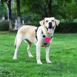 EarthPETS Upgraded Lightweight No Pull Dog Harness with 2 Leash Clips, Adjustable Soft Padded, Fully Reflective Oxford, No Choke Pet Vest with Easy Control Handle for Dogs, Hot Pink, S