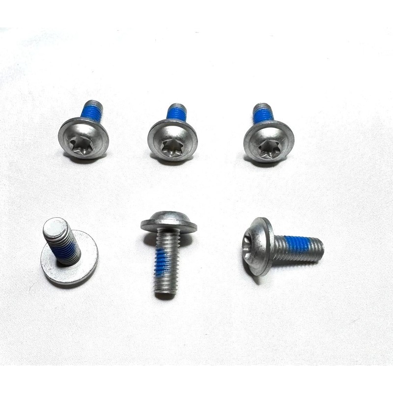 6 ea. Torx Screws for The Hood Hinges Compatible with