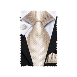 Hi-Tie Mens Plaid Ties Classic Paisley Necktie with Handkerchief Cufflinks Set Business Stripe Tie,Champagne Dot