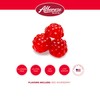 Albanese World's Best Berry Red Gummi Raspberries, 5lbs of Candy
