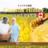 Honey from Canada, 17.6 oz (500 g), 100% Pure Honey