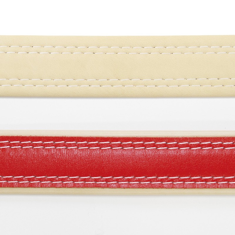 ペティオ (Petio) 首輪 グランデ ダブルステッチカラー レッド 大型犬用 L サイズ