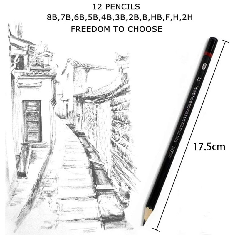 Professional Pencils, Pack of 12, Drawing Pencils, Sketching Pencils, Graphite