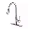 Glacier Bay Sadira Pull-Down Sprayer Kitchen Faucet in Stainless Steel