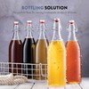 Bormioli Rocco Giara Swing Top Bottles 33 ¾ Ounce/1 Liter