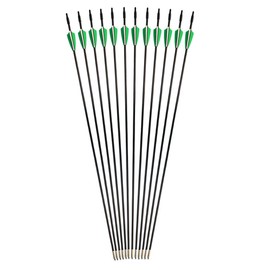 GPP Archery Beginner's First Arrows (30" Fiberglass Target Archery Arrows) - 12 Pack,Green