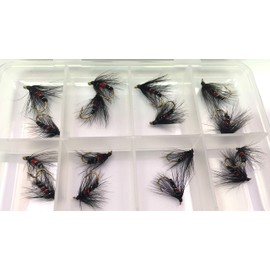 BestCity Fly Fishing Bibio Selection 16 Wet Flies with FREE FLY BOX sizes 10-16#315