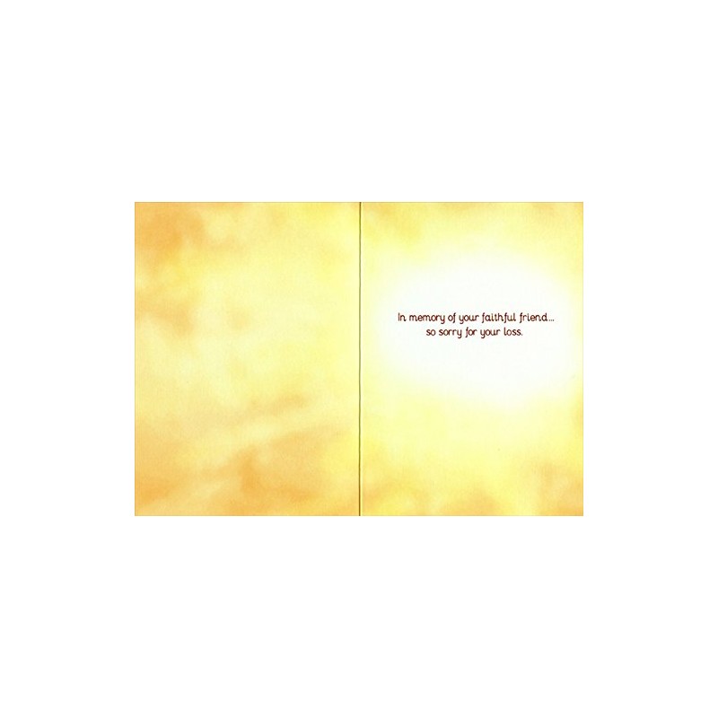Dog At Rainy Window - Avanti Pet Sympathy Card