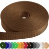 TECEUM 1 Inch Webbing – Light Brown – 10 Yards