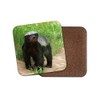 1 x Honey Badger Coaster - Natural World Wildlife Cute