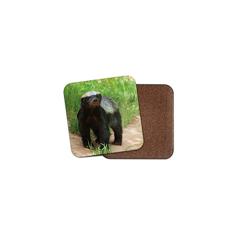 1 x Honey Badger Coaster - Natural World Wildlife Cute