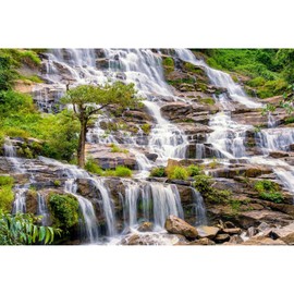 ZatiasMiller Rainforest Aquarium Background Majestic Waterfall from High Rocks Terrarium Background Aquatic Plants Tree Aquarium Backdrop Reptile Habitat Background Fish Tank Decor Vinyl 30x12in