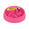 Fancy Pets Plato PLASTICO ALIMENTACION Lenta