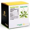 Soilmount Plantain Leaf Tea, Organic Plantago Major Tea,100% Natural (cheqiancao/车前草/질경이)