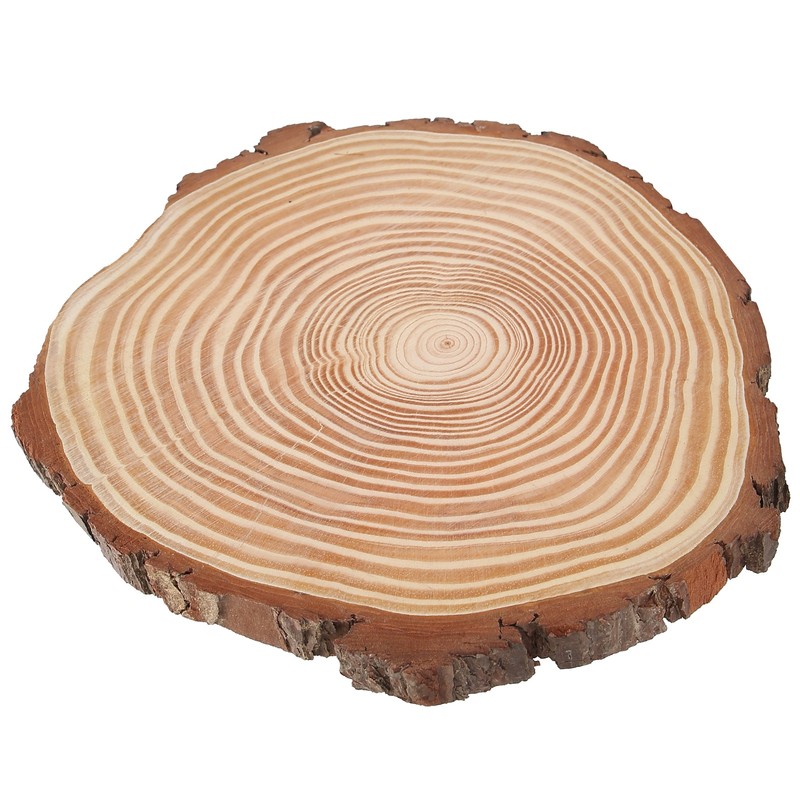 Natural Wood Slices Unfinished Wood Circles Ornaments Irregular Wood Slices